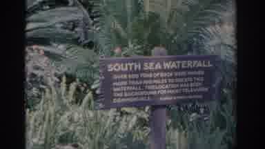 Florida USA (1962): Very Beautiful And Wooded Natural Park Record