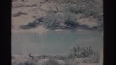 Florida USA (1962): Nature Video Of River And Flowers With Grandma Standing In