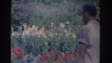Florida USA (1962): People Walking Through A Beautiful Garden With Flowers And
