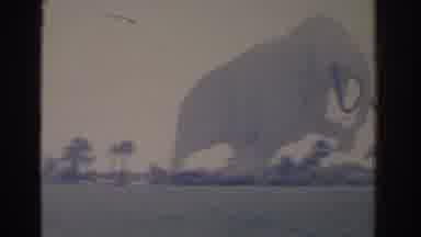 Florida USA (1962): Zoological Images With Some Animal Statues