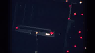 Gary Indiana (1962): An Outdoor Christmas With Lights