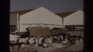 Izmir Turkey (1962): Chickens Women Factory Farming Trash Buildings Free Roaming