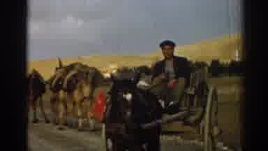 Izmir Turkey-1962: Male Traveler Riding In Wooden Carriage With Camels