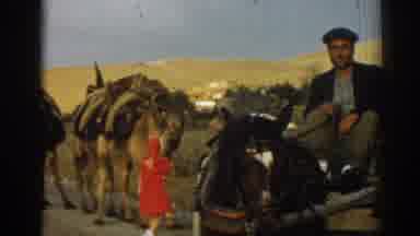 Izmir Turkey-1962: Man With Horse-Drawn Cart And Camels In Desert