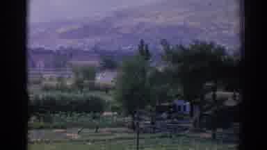 Izmir Turkey (1962): View Of Green Trees And Small White Shack On A Clear Day