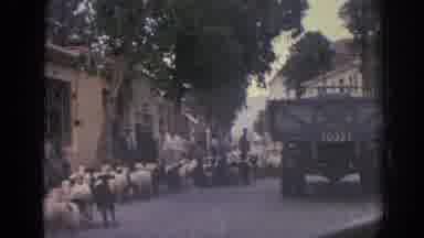 Izmir Turkey (1962): A Shepherd Leads Sheep Through A Busy Street In A Crowded