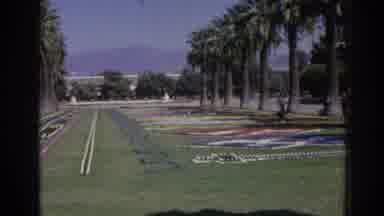 Izmir Turkey (1962): View Of Palm Trees And Green Lawn On A Sunny Day