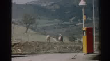 Izmir Turkey-1962: Two Oxen Plowing a Field Near a Gas Pump