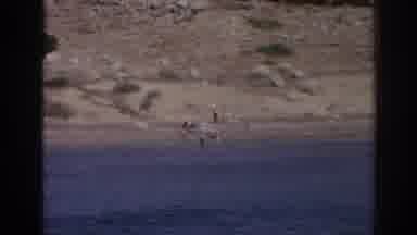 Izmir Turkey (1962): People On A Rocky Beach In The Distance And A Person Water