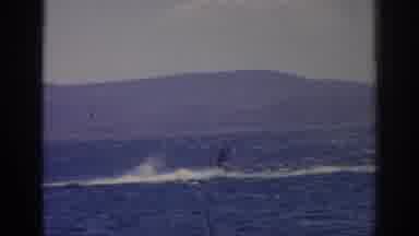 Izmir Turkey (1962): Having Fun While Water Skiing On A Warm Summer Day