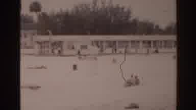 Florida USA (1963): Two Cars Parked Next To Palm Trees At Empty Beach On A Sunny