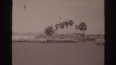 Florida USA (1963): Car Parking Next To A Lake And It's Beautiful Vegetation