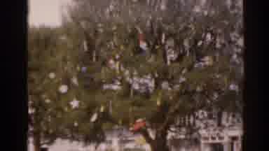 Florida USA (1963): Images Of Trees Full Of Ornaments And The Cleaning Of A House