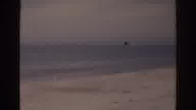 Florida USA (1963): Elderly Woman Standing Near Ocean Sandy Beach Talking Seagulls