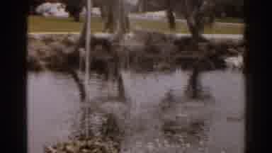 Florida USA (1963): Vintage Water Fountain And Landscaping