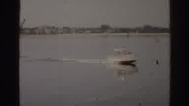 Florida USA (1963): Beautiful Lake Images With Some Boats