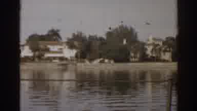 Florida USA (1963): Standing Still From The Port Of My House With View Of The Lake