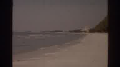Florida USA (1963): Two People Walking In The Ocean Water And Birds Chilling By