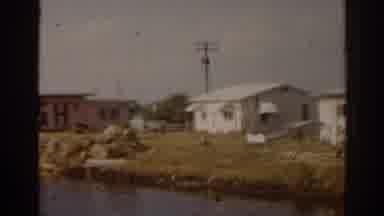 Florida USA (1963): Coastline Showing Houses And Businesses Tree With Nest
