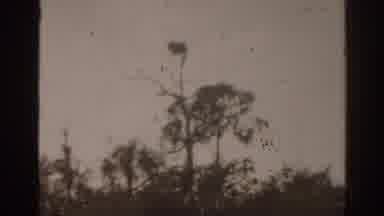 Florida USA (1963): View Of The Ocean And The Mountains Make A Good Scene To Look