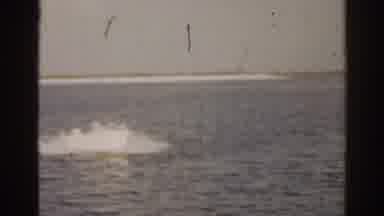 Florida USA (1963): People Riding In Boats On The Water