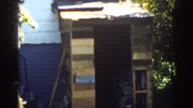 Florida USA (1963): Random Picture Of A Backyard From A House