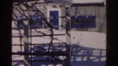 Florida USA (1963): Winter Wonderland On The Country Farm In The Sunny Winter Days
