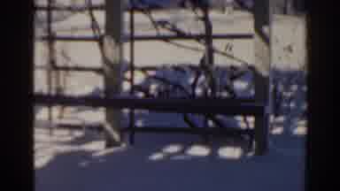 Florida USA (1963): Our Little Farm Sure Did Get A Lot Of That Snow