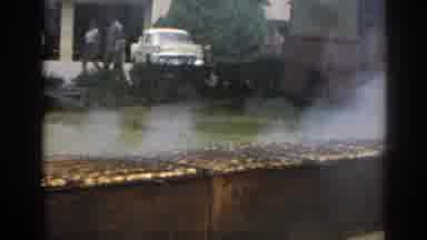 New Jersey USA (1963): A Garden With A Woman That Looks A Goose A Quiet Afternoon
