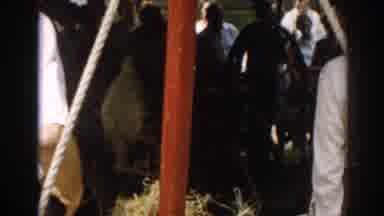 New Jersey USA (1963): Festival Petting Zoo Roller coaster Amusement Park Rides