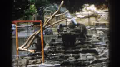 New Jersey USA (1963): Mother And Daughter Near The Guardrail Looking At Monkeys