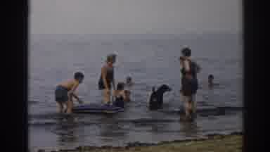New Jersey USA (1963): Women Children And A Dog Wade In Water On A Beach On An