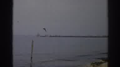 New Jersey USA (1963): People On Beach With Surf Coming In And Houses And Pier In