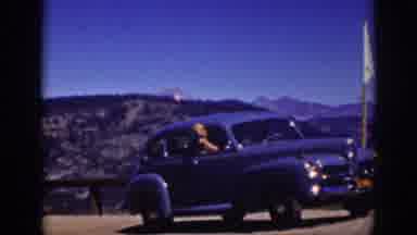 Lake Tahoe California (1939): Brown Dog Looking Out Of Window Of Blue Car On A