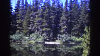Lake Tahoe California (1939): Picture Of A Lake With Trees Around It And Sunny