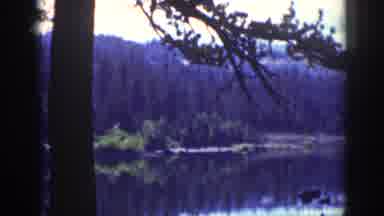 Lake Tahoe California (1939): Kid Cries Over Spilled Milk And The Cat Licks It Up