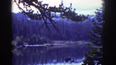 Lake Tahoe California (1939): Lake Nestled In A Forest