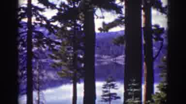 Lake Tahoe California (1939): Wildlife A Woman Bathing Her Dog Enjoying The