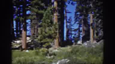 Lake Tahoe California (1939): Videographer Admires The Beauty Of The Complete
