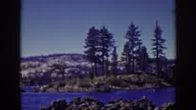 Lake Tahoe California (1939): Nature Walk Into The Mountains And Woods