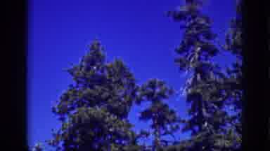 Lake Tahoe California (1939): Dark Blue Sky At The Moment
