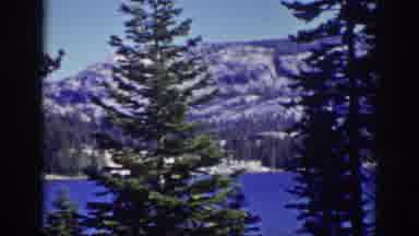 Lake Tahoe California (1939): A Beautiful View Of A Mountain Behind Some Pine
