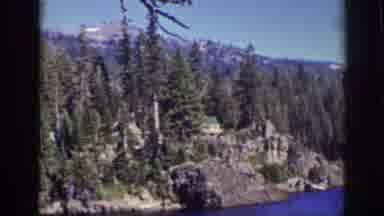 Lake Tahoe California (1939): Beautiful Evergreen Trees Lining The Lakes Shore