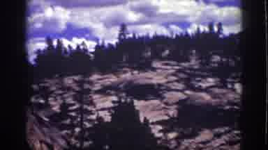 Lake Tahoe California (1939): A Fairly Scare Mountain Pine Forest On A Beautiful