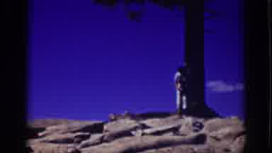 Lake Tahoe California (1939): Guy Sitting Under A Tree For Shade From Heat And Sun