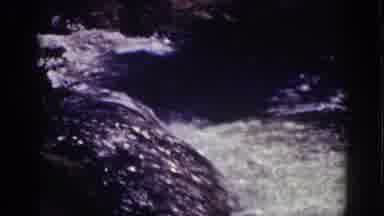 Lake Tahoe California (1939): View Of Swift Flowing Mountain Stream On A Bright