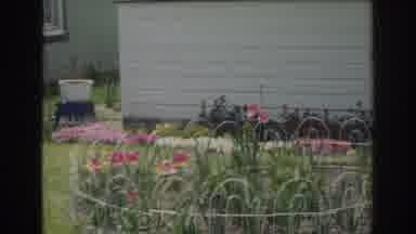 Norfolk Virginia (1966): My Lovely Garden Is Going To Get Yard Of The Month
