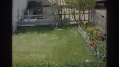 Norfolk Virginia (1966): Home Video Small Yard Flowers Woman Gardening