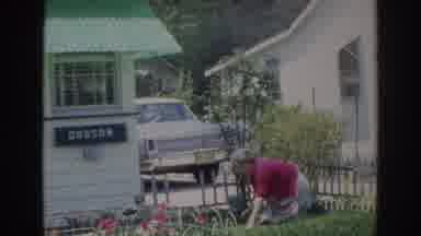 Norfolk Virginia (1966): Woman Wearing Red Sweater Works In Garden On A Sunny Day