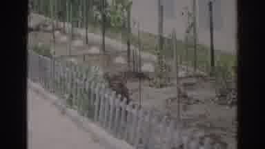 Norfolk Virginia (1966): View Of Small Bushes And White Picket Fence On A Sunny